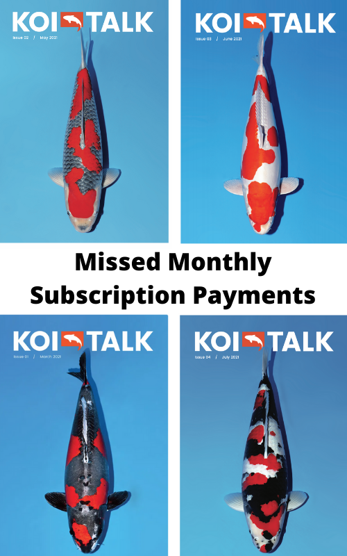 Koi Talk Issue 12 - Missed Monthly Subscription Payments - Koi Talk ...